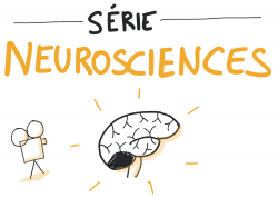 Vignette de Les vidéos pédagogiques dessinées : Qu'est ce que les neurosciences ?
