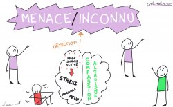Vignette de Compétences émotionnelles et courage :  le cerveau évolutif
