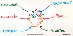 Vignette de Comment bien mémoriser ?