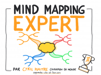 Illustration de la formation MIND MAPPING EXPERT