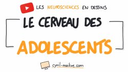 Vignette de [VID&Eacute;O] LE CERVEAU DES ADOLESCENTS - Les neurosciences en dessins