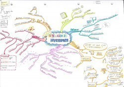Vignette de Cartes Mentales Et Sketchnote Autour Des Intelligences Multiples.