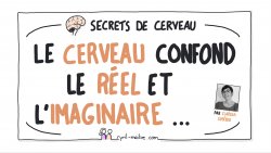 Vignette de [PODCAST] Le cerveau confond le r&eacute;el et l'imaginaire