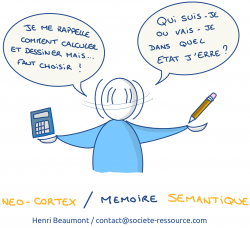 Vignette de Trois Cerveaux Pour Trois M&eacute;moires.