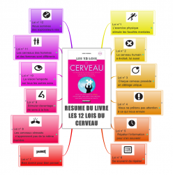 Vignette de Mind Maps 36 &agrave; 50: Pr&eacute;lecture des 12 Lois du Cerveau de John Medina