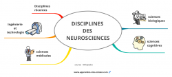 Vignette de La carte mentale des disciplines des neurosciences