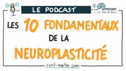 Vignette de [PODCAST] Les 10 fondamentaux de la NEUROPLASTICIT&Eacute;