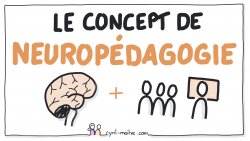 Vignette de Le concept de neuro-p&eacute;dagogie : pourquoi ?