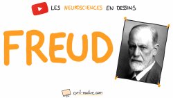 Vignette de FREUD ET LES NEUROSCIENCES - Les neurosciences en dessins