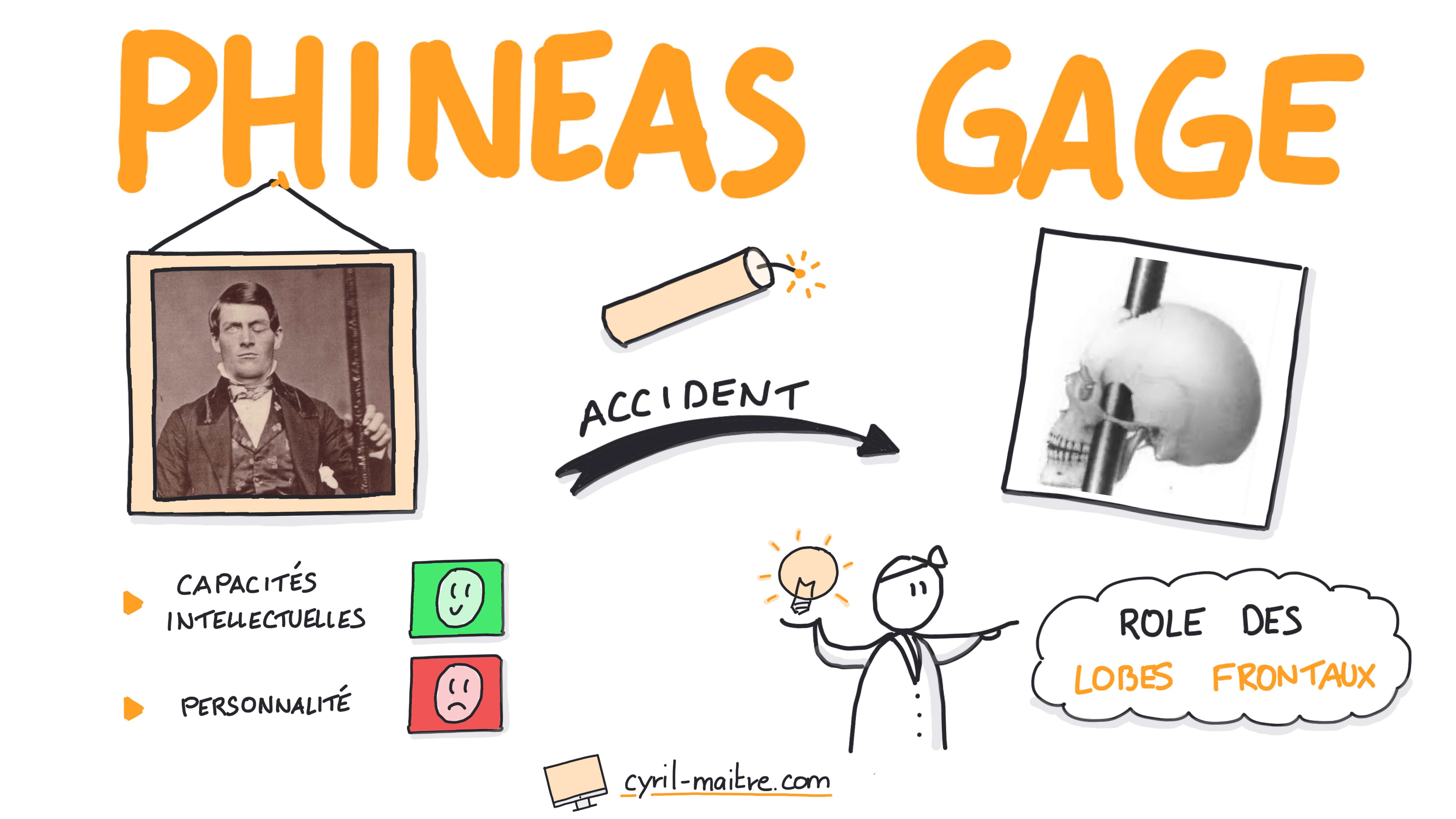 L'incroyable accident de Phineas Gage - les neurosciences en dessins
