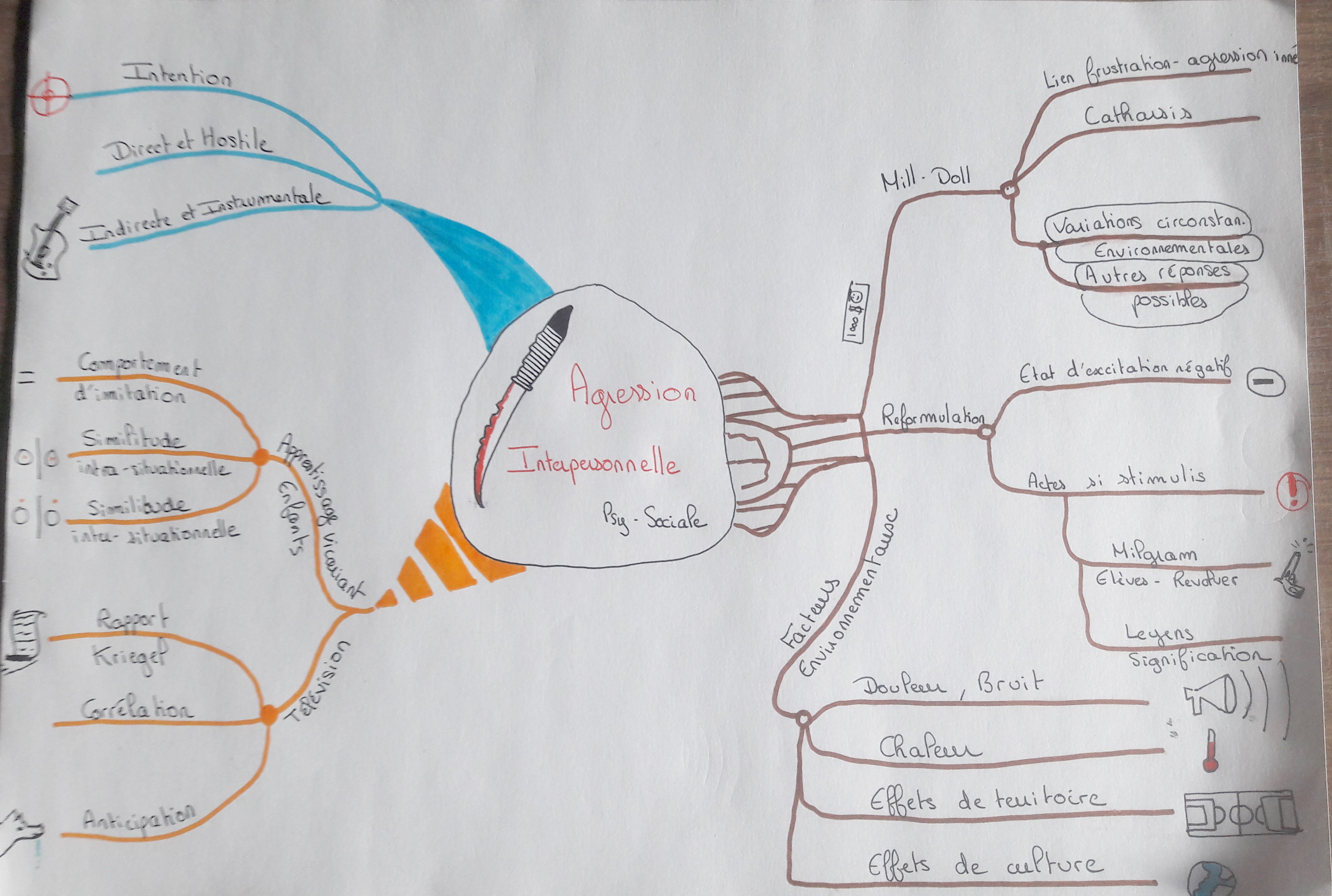 mind map cours