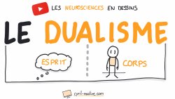 Vignette de LA DUALISME - Les neurosciences en dessins
