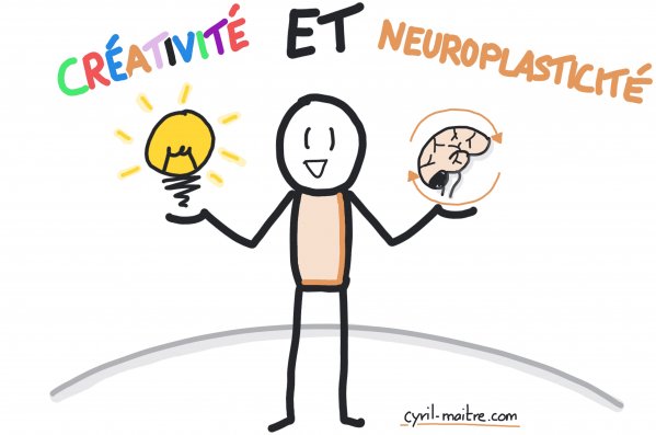 Créativité et neuroplasticité