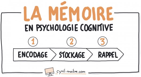 Définition de la mémoire en psychologie cognitive