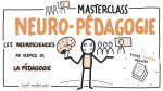Illustration de la formation Masterclass NEUROPEDAGOGIE