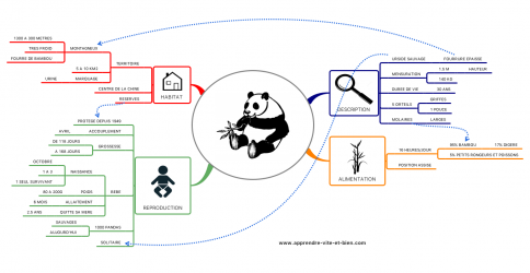 Exemple d'une carte sur le thème du grand panda