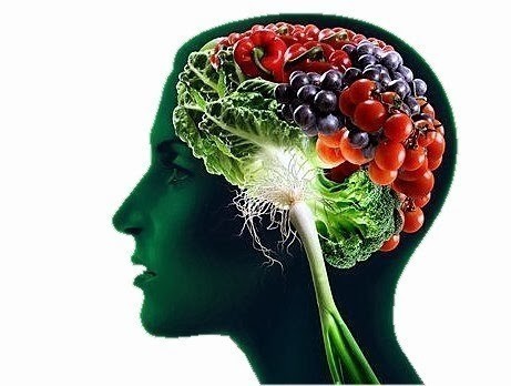nutrition cerveau