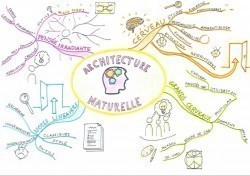 Vignette de Mind Map N°2: L'Architecture Naturelle du Cerveau