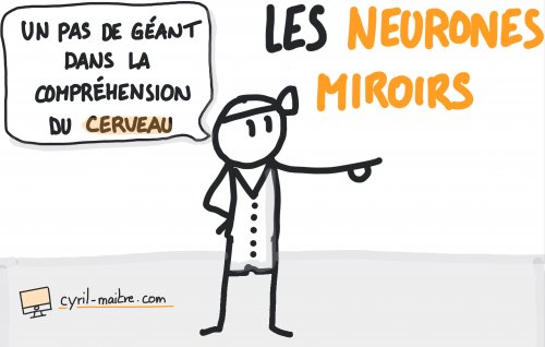 Neurones miroirs et compréhension du cerveau
