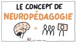 Vignette de Le concept de neuro-pédagogie : pourquoi ?