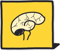 Influence du jaune sur votre cerveau