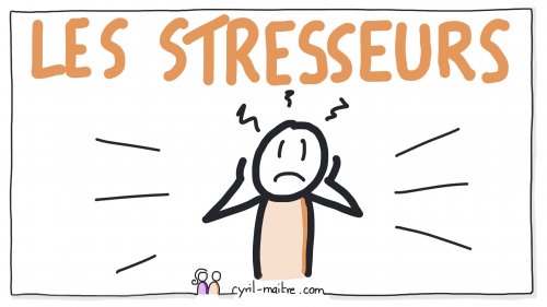 Module 4 : les' stresseurs'