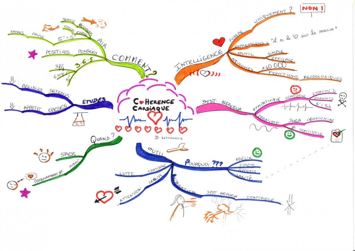 Prendre Des Notes Efficaces Avec La Carte Mentale (mind Mapping)