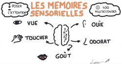 Vignette de Article Invité de Vincent Delourmel: Mémoriser vite ou bien ?