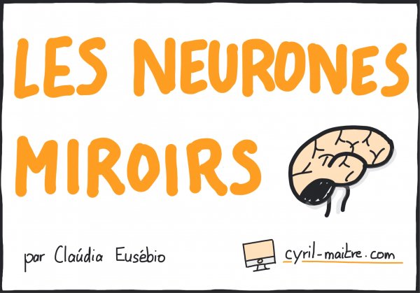 Les neurones miroirs par Claúdia Eusébio