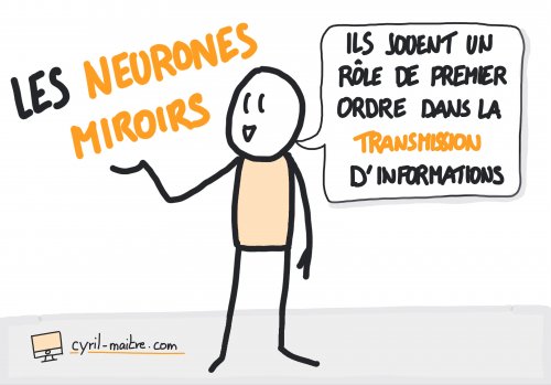 Les neurones miroirs jouent un rôle de premier ordre dans la transmission d’informations