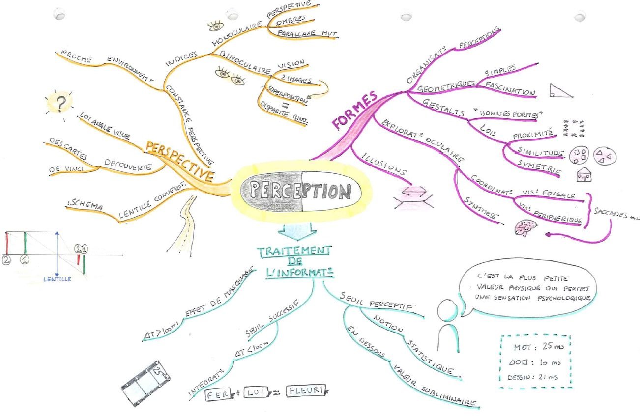 Mind Maps 22 Et 23 2 Cartes Sur La Psychologie Cognitive