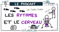 Vignette de [PODCAST] Les rythmes et le cerveau