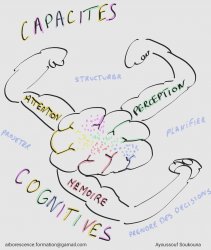 Vignette de La part neurobiologique dans le processus d’apprentissage