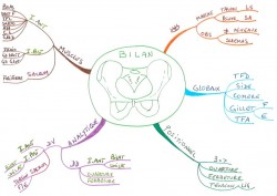 Vignette de Mind Map 32 à 34: Comment Karine organise son bricolage et étudie l'ostéopathie avec les cartes mentales.