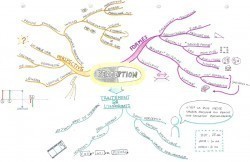 Vignette de Mind Maps 22 et 23: 2 Cartes sur la Psychologie Cognitive.