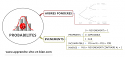 Vignette de Mind Maps 96 &agrave; 100: Cartes De R&eacute;vision Du Brevet