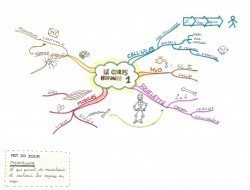 Vignette de Mind Map 51: une carte dessin&eacute;e &agrave; la main VS imindmap.