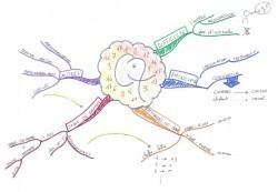 Vignette de Mind Map 81 : La M&eacute;moire Des Chiffres Et Des Nombres